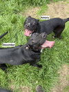 December - Photo 2