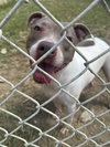 Loretta - Photo 1