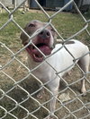 Loretta - Photo 2