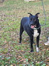 Malcolm - Photo 1