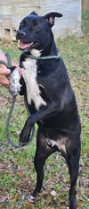 Malcolm - Photo 2