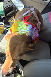 Snuggles - Photo 2