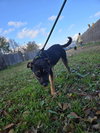 Little Miss - Photo 1