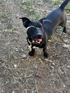 Edith - Photo 1