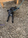 Sebastian - Photo 1