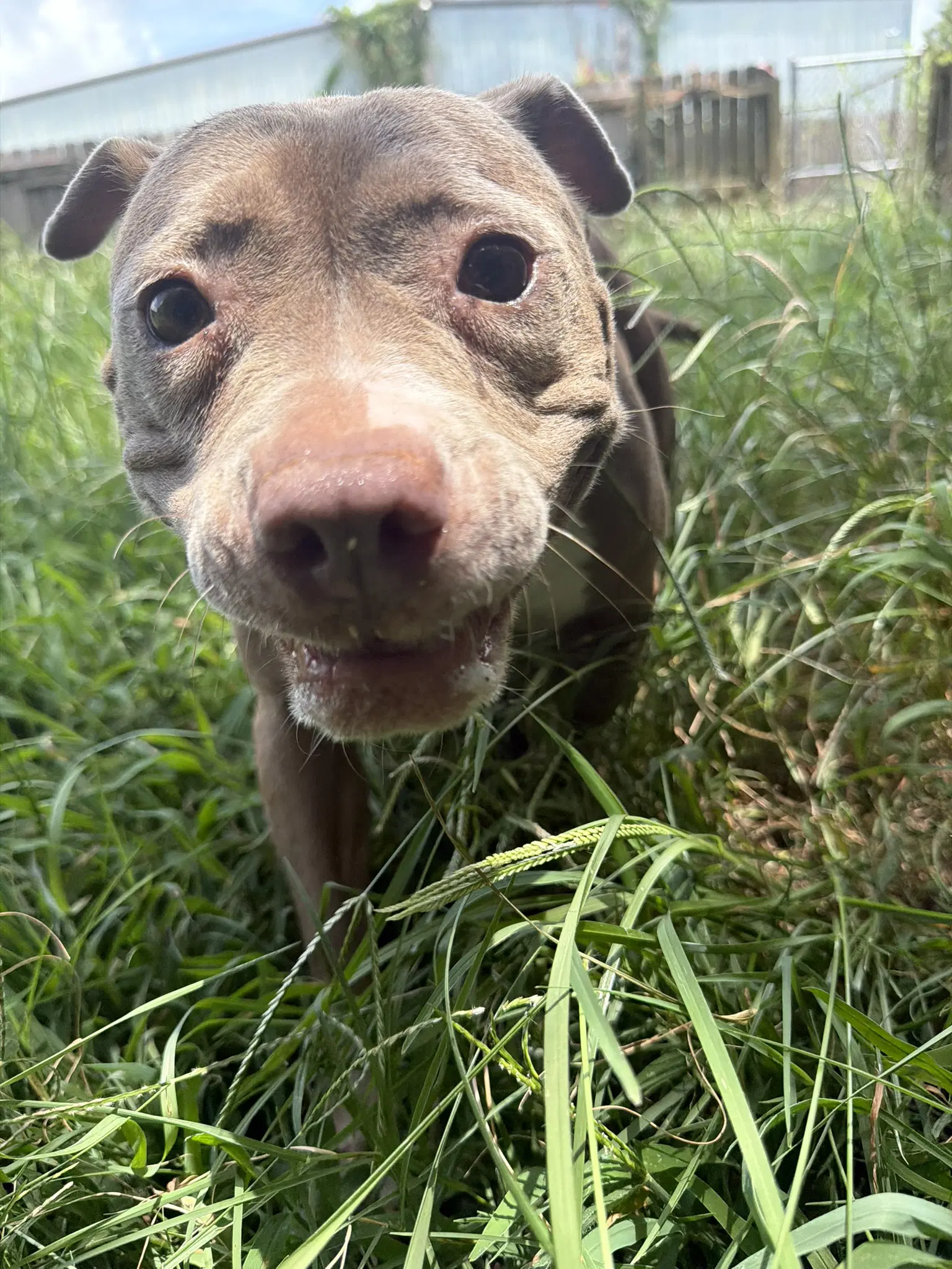 Finley image 2