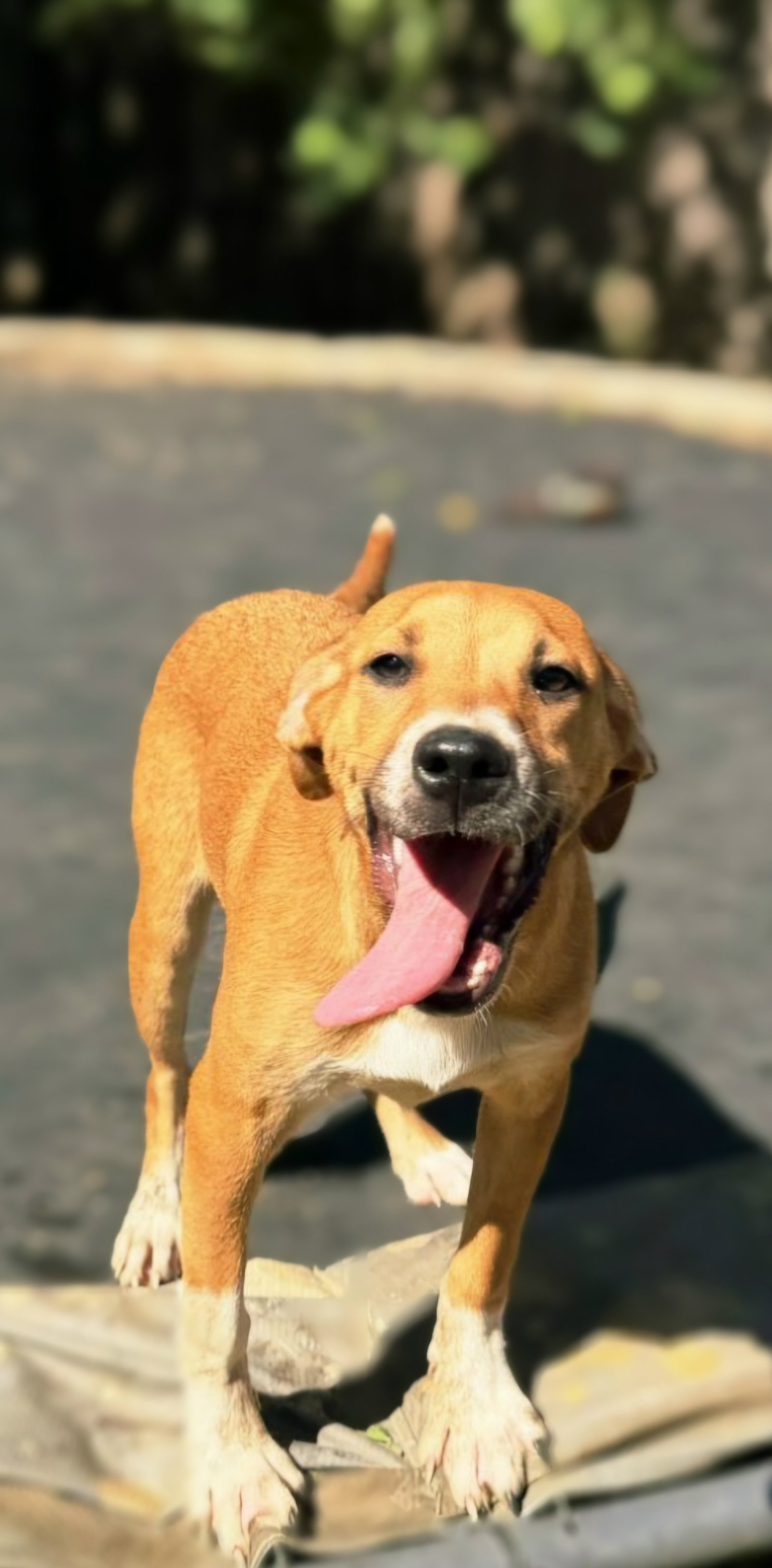 Coco, photo 2