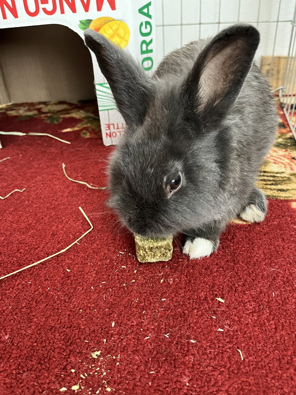 Smudge