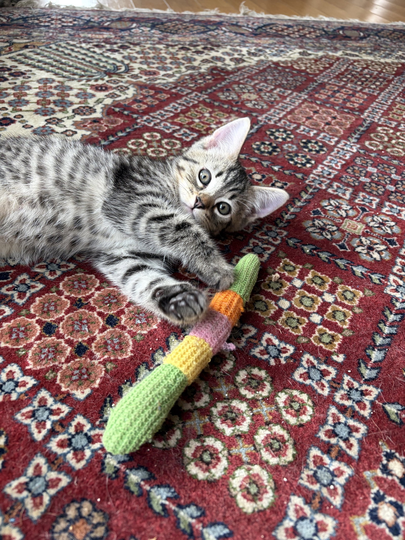 Theodore
