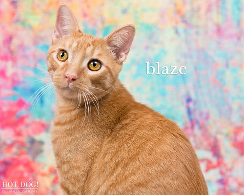 Blaze