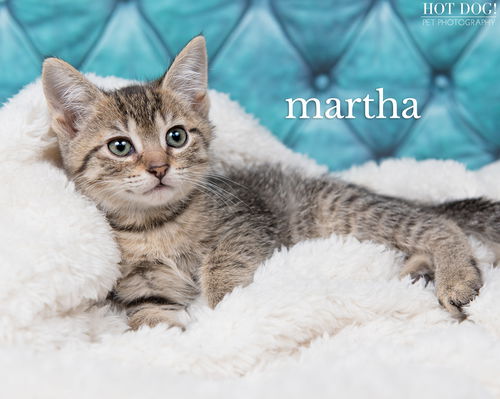 Martha