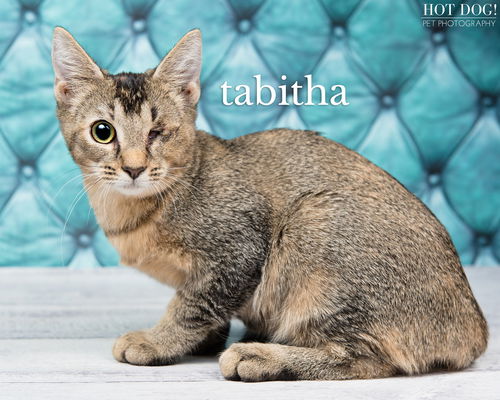 Tabitha