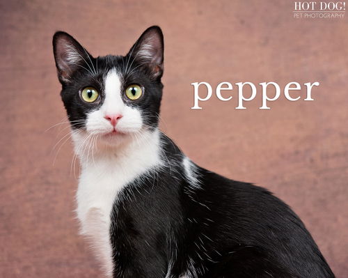 Pepper