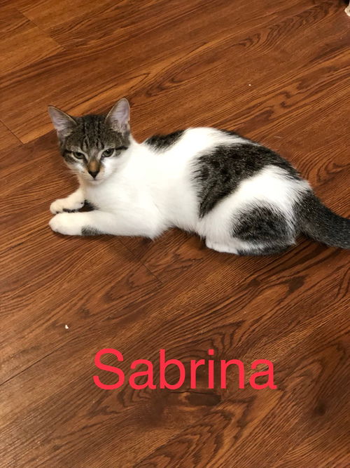 Sabrina