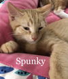 Spunky