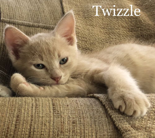 Twizzle