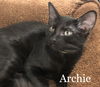 Archie