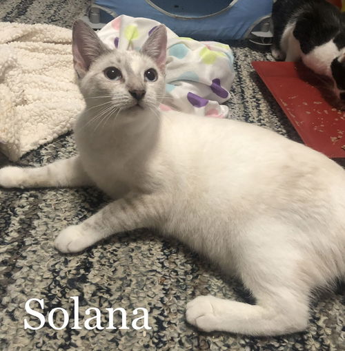 Solana