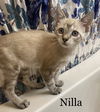 Nilla