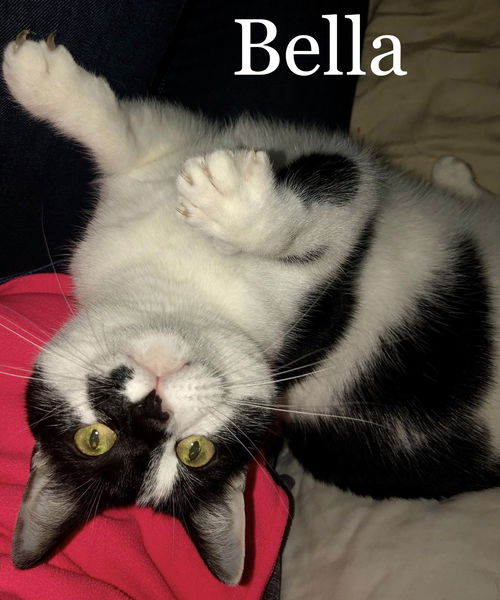 Bella