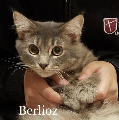 Berlioz