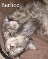 Berlioz