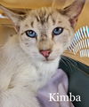 Kimba