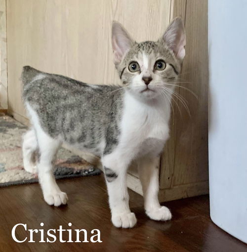 Cristina