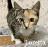 Loretta