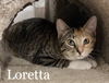 Loretta