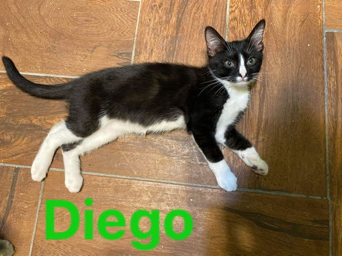 Diego