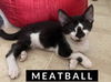 Meatball