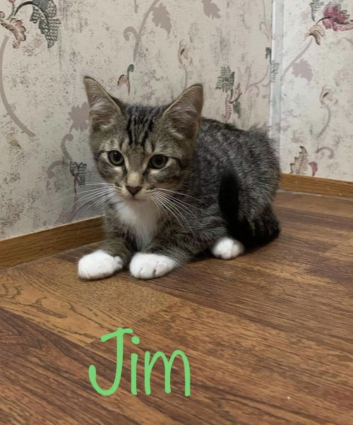 Jim