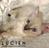 Lucien