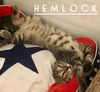 Hemlock