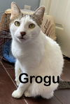 Grogu (Nabisco)