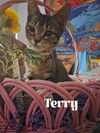 Terry