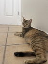 Twyla