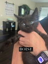 Boise