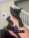 Topeka