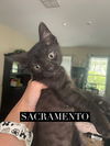 Sacramento