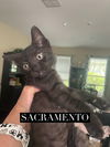 Sacramento