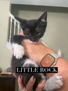 Little Rock