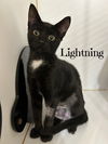Lightning