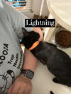 Lightning