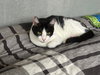 Charlie - Photo 4