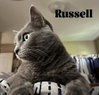 Russell