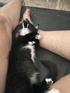 Lumie