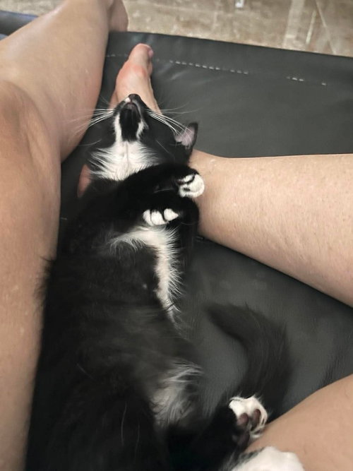 Lumie