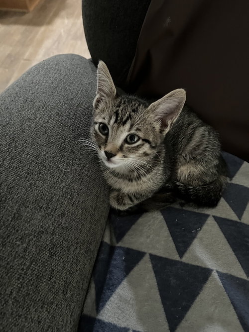 Milo